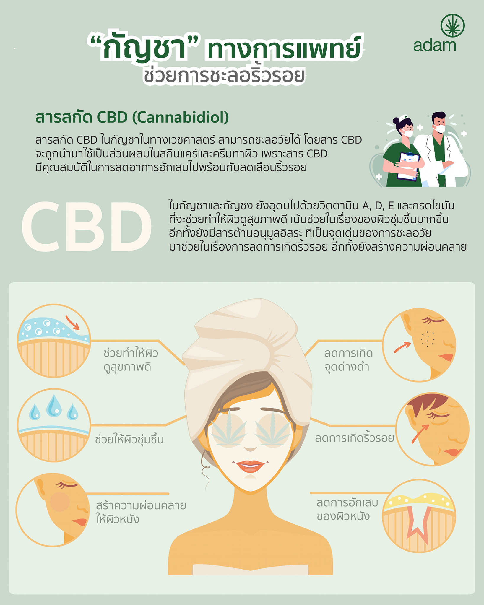 สารสกัด CBD (Cannabidiol)